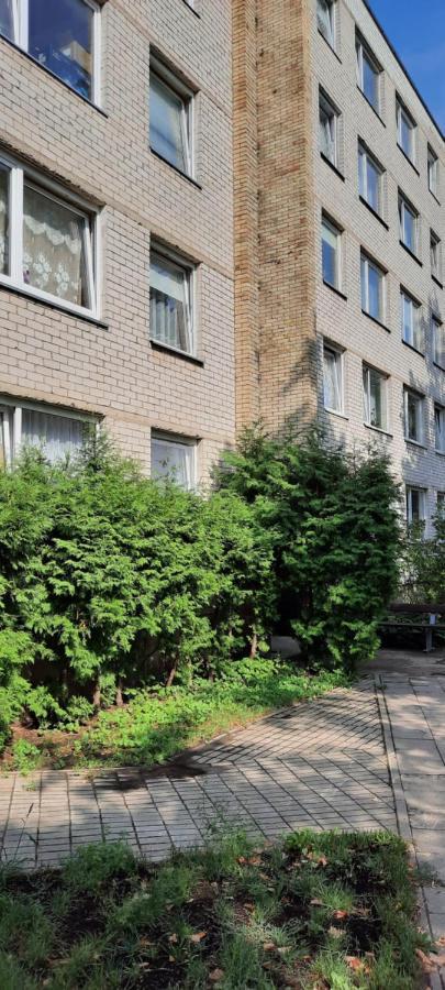 Day & Night Anyksciai Apartment Екстериор снимка