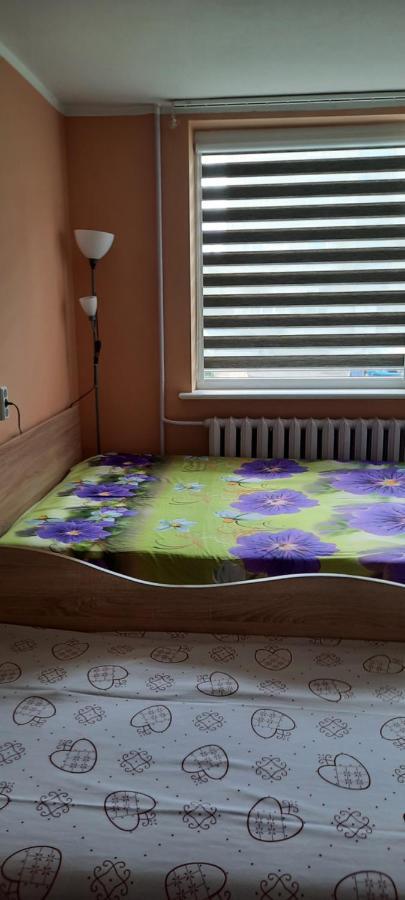 Day & Night Anyksciai Apartment Екстериор снимка