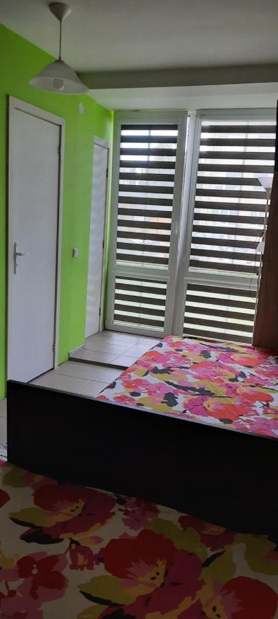 Day & Night Anyksciai Apartment Екстериор снимка